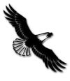eagle 7 sfb